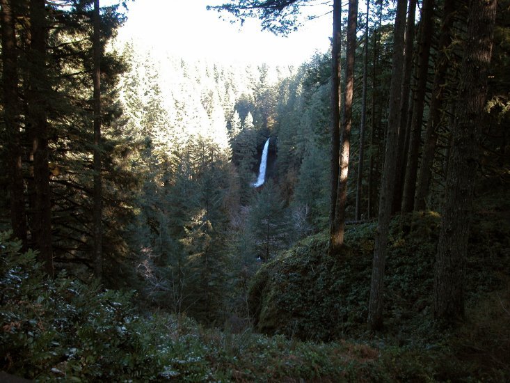 Silver Falls: North Falls from a distance 24